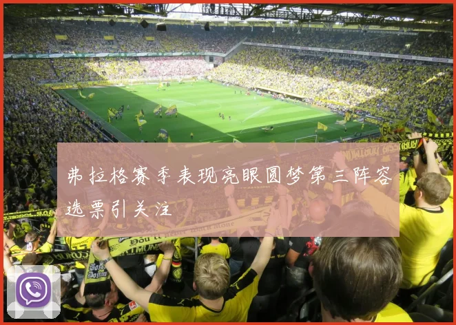 弗拉格赛季表现亮眼圆梦第三阵容选票引关注